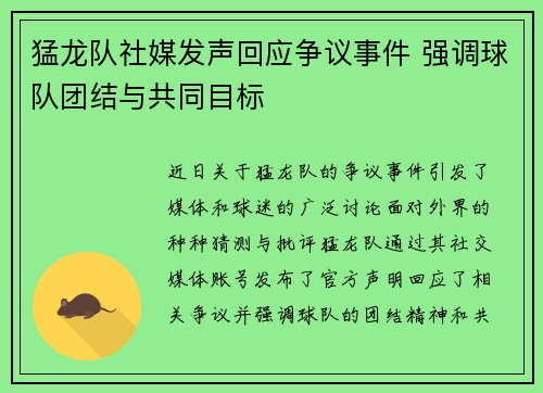 猛龙队社媒发声回应争议事件 强调球队团结与共同目标