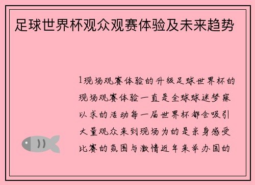 足球世界杯观众观赛体验及未来趋势